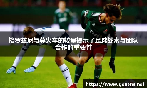 zoty中欧官方网站