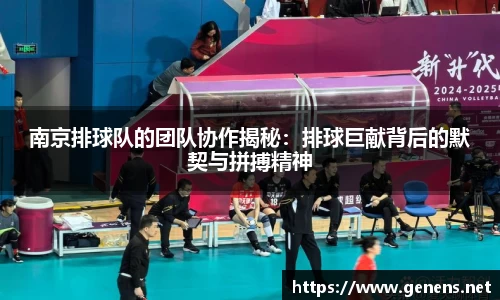 南京排球队的团队协作揭秘：排球巨献背后的默契与拼搏精神