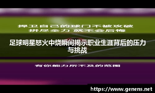 zoty中欧官方网站